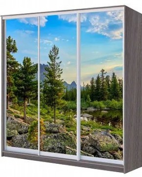 Шкаф-купе ХИТ 22-20/2-777 ПРИРОДА в Тобольске - tobolsk.mebel24.online | фото