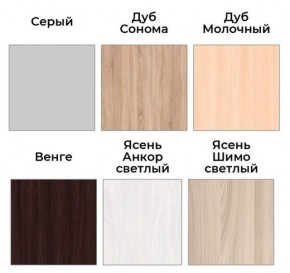 Шкаф-купе ХИТ 22-4-17-55 (420) в Тобольске - tobolsk.mebel24.online | фото 3