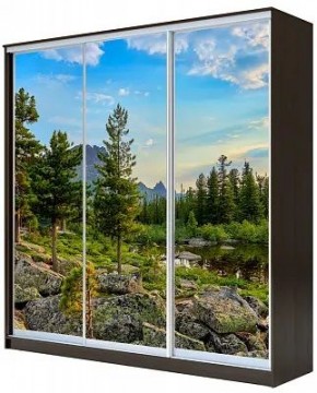 Шкаф-купе ХИТ 23-4-20-777 ПРИРОДА в Тобольске - tobolsk.mebel24.online | фото