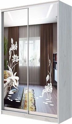 Шкаф-купе ХИТ 24-14-66 ЦАПЛИ в Тобольске - tobolsk.mebel24.online | фото