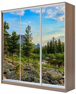 Шкаф-купе ХИТ 24-20/2-777 ПРИРОДА в Тобольске - tobolsk.mebel24.online | фото