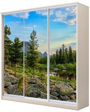 Шкаф-купе ХИТ 24-4-20-777 ПРИРОДА в Тобольске - tobolsk.mebel24.online | фото
