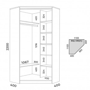 Шкаф-купе ХИТ-У-22-4-15 в Тобольске - tobolsk.mebel24.online | фото 3