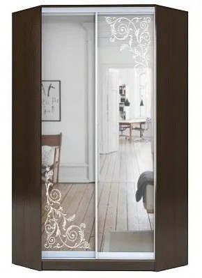 Шкаф-купе ХИТ-У-23-4-66 ОРНАМЕНТ в Тобольске - tobolsk.mebel24.online | фото