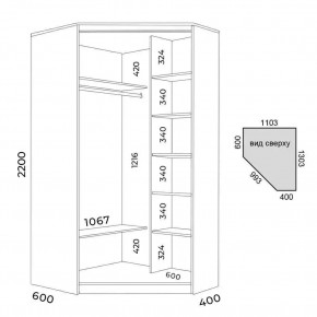 Шкаф-купе ХИТ-У-R-22-64-55 в Тобольске - tobolsk.mebel24.online | фото 3