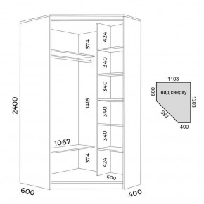 Шкаф-купе ХИТ-У-R-24-64-15 в Тобольске - tobolsk.mebel24.online | фото 3