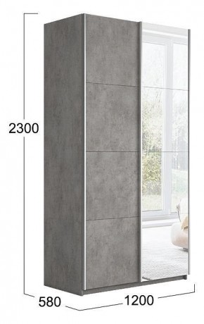 Шкаф-купе Траст СШК 2.120.60-11.13 в Тобольске - tobolsk.mebel24.online | фото 3