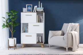Шкаф низкий с нишами Вега Скандинавия в Тобольске - tobolsk.mebel24.online | фото 4