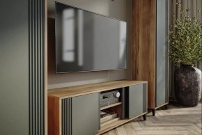 Шкаф платяной Богемия в Тобольске - tobolsk.mebel24.online | фото 3