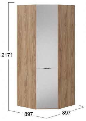 Шкаф платяной Глосс СМ-319.07.312 в Тобольске - tobolsk.mebel24.online | фото 4