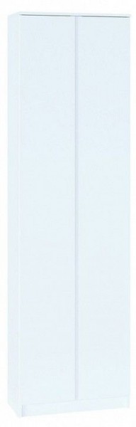 Шкаф платяной ШО-4 в Тобольске - tobolsk.mebel24.online | фото