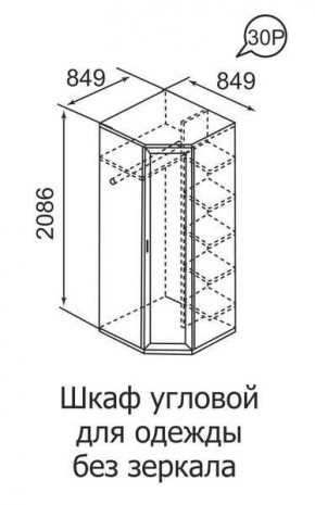 Шкаф угловой для одежды Ника-Люкс 30 без зеркал в Тобольске - tobolsk.mebel24.online | фото 3