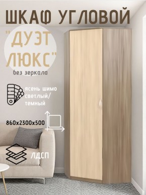 Шкаф угловой Дуэт Люкс без зеркала в Тобольске - tobolsk.mebel24.online | фото 7