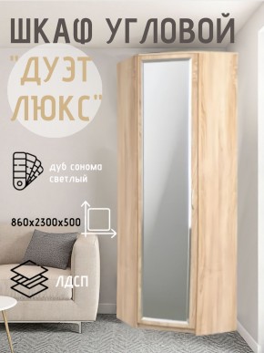Шкаф угловой Дуэт Люкс с зеркалом в Тобольске - tobolsk.mebel24.online | фото