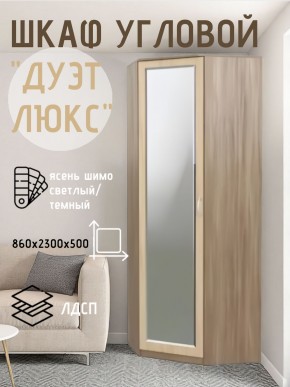 Шкаф угловой Дуэт Люкс с зеркалом в Тобольске - tobolsk.mebel24.online | фото 3