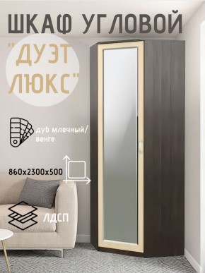 Шкаф угловой Дуэт Люкс с зеркалом в Тобольске - tobolsk.mebel24.online | фото 5