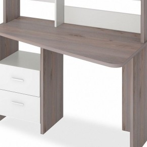 Стол компьютерный Домино Лайт СКЛ-Трап120+НКЛ-120 в Тобольске - tobolsk.mebel24.online | фото 2