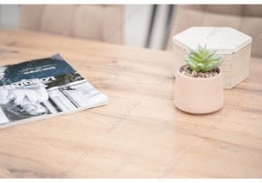 Стол обеденный Тринити Лофт 120 в Тобольске - tobolsk.mebel24.online | фото 6