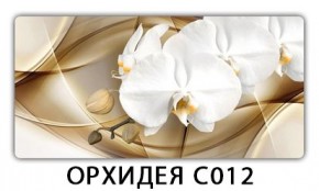 Стол раздвижной Трилогия с фотопечатью Лайм R156 в Тобольске - tobolsk.mebel24.online | фото 13