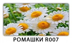 Стол раздвижной Трилогия с фотопечатью Лайм R156 в Тобольске - tobolsk.mebel24.online | фото 15