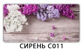 Стол раздвижной Трилогия с фотопечатью Лайм R156 в Тобольске - tobolsk.mebel24.online | фото 16