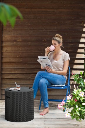Столик-холодильник Кул-Стул (Cool stool) графит в Тобольске - tobolsk.mebel24.online | фото 1