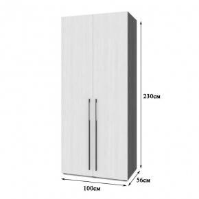 СТОУН С22 Шкаф 2-х створчатый (серый дуб/белый) в Тобольске - tobolsk.mebel24.online | фото 2