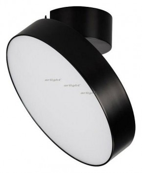 Светильник на штанге Arlight SP-RONDO-FLAP-R210-20W Day4000 (BK, 110 deg) 026453 в Тобольске - tobolsk.mebel24.online | фото 2