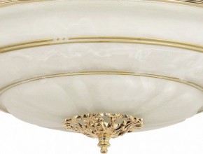 Светильник на штанге Arti Lampadari Pavia Pavia E 1.13.P40 G в Тобольске - tobolsk.mebel24.online | фото 3