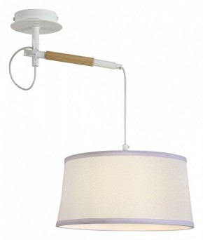 Светильник на штанге F-promo Eureka 3005-1P в Тобольске - tobolsk.mebel24.online | фото 4
