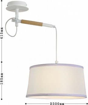 Светильник на штанге F-promo Eureka 3005-1P в Тобольске - tobolsk.mebel24.online | фото 5