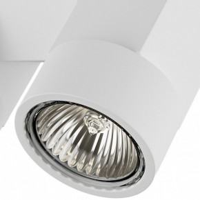 Светильник на штанге Lightstar Illumo X2 051036 в Тобольске - tobolsk.mebel24.online | фото 2