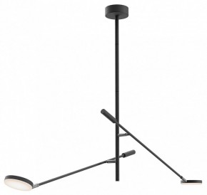 Светильник на штанге Maytoni Fad MOD070CL-L15B3K1 в Тобольске - tobolsk.mebel24.online | фото