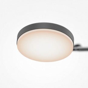 Светильник на штанге Maytoni Fad MOD070CL-L15B3K1 в Тобольске - tobolsk.mebel24.online | фото 7
