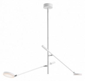 Светильник на штанге Maytoni Fad MOD070CL-L15W3K1 в Тобольске - tobolsk.mebel24.online | фото