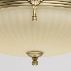 Светильник на штанге MW-Light Афродита 1 317011504 в Тобольске - tobolsk.mebel24.online | фото 4