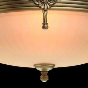 Светильник на штанге MW-Light Афродита 1 317011504 в Тобольске - tobolsk.mebel24.online | фото 5