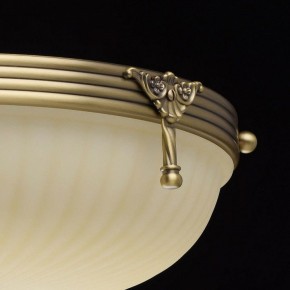 Светильник на штанге MW-Light Афродита 1 317011504 в Тобольске - tobolsk.mebel24.online | фото 8