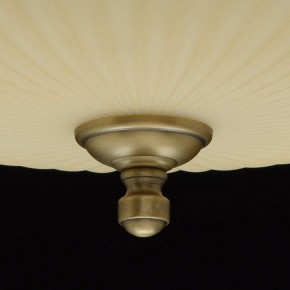 Светильник на штанге MW-Light Афродита 1 317011504 в Тобольске - tobolsk.mebel24.online | фото 9