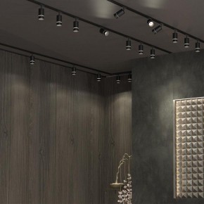 Светильник на штанге Novotech Elina 370777 в Тобольске - tobolsk.mebel24.online | фото 4
