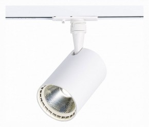 Светильник на штанге ST-Luce Cami ST351.536.20.36 в Тобольске - tobolsk.mebel24.online | фото 2