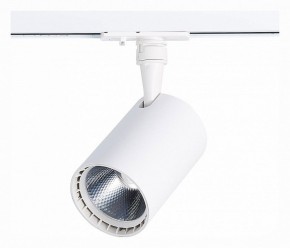Светильник на штанге ST-Luce Cami ST351.536.20.36 в Тобольске - tobolsk.mebel24.online | фото 3