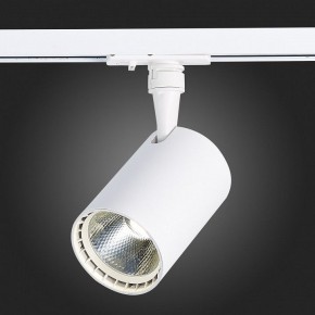 Светильник на штанге ST-Luce Cami ST351.536.20.36 в Тобольске - tobolsk.mebel24.online | фото 4