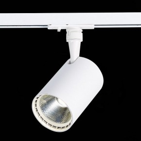 Светильник на штанге ST-Luce Cami ST351.536.20.36 в Тобольске - tobolsk.mebel24.online | фото 6