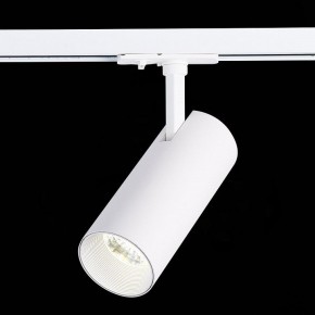 Светильник на штанге ST-Luce Mono ST350.536.20.36 в Тобольске - tobolsk.mebel24.online | фото 4
