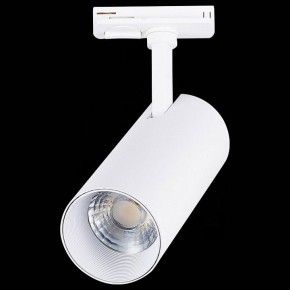 Светильник на штанге ST-Luce Mono ST350.536.20.36 в Тобольске - tobolsk.mebel24.online | фото 6