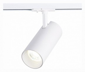 Светильник на штанге ST-Luce Mono ST350.536.30.36 в Тобольске - tobolsk.mebel24.online | фото 2