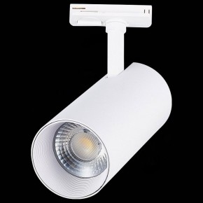 Светильник на штанге ST-Luce Mono ST350.536.30.36 в Тобольске - tobolsk.mebel24.online | фото 6