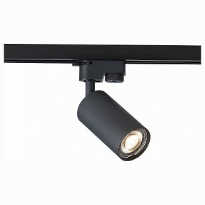 Светильник на штанге ST-Luce Solt ST300.406.01 в Тобольске - tobolsk.mebel24.online | фото 1