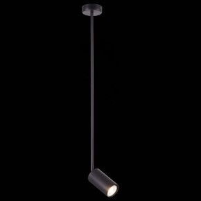 Светильник на штанге ST-Luce Sormano SL1206.403.01 в Тобольске - tobolsk.mebel24.online | фото 3